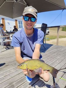 Tench