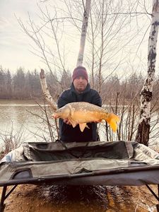 Mirror Carp
