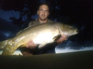 Mirror Carp