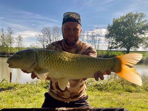 Common Carp