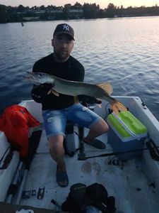 Northern Pike