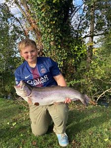 Rainbow Trout