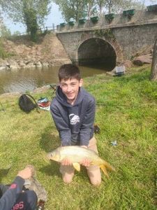 Common Carp