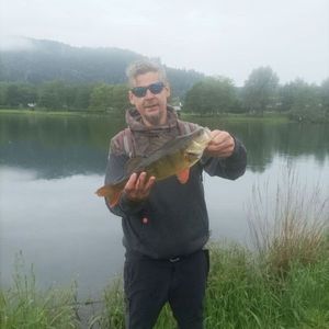 European Perch