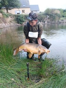 Mirror Carp