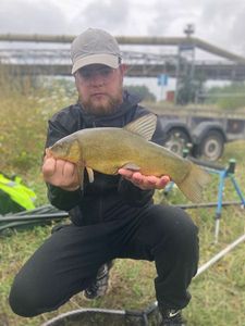 Tench