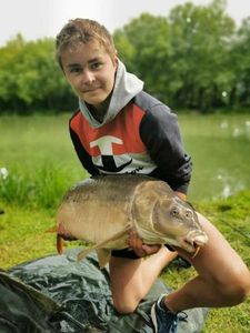 Mirror Carp