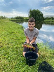 Mirror Carp