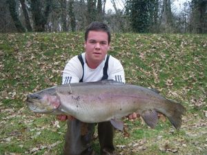 Rainbow Trout