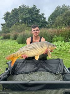 Common Carp