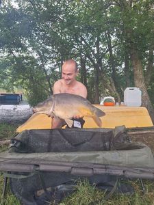 Mirror Carp