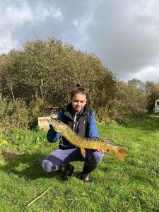 Northern Pike