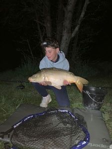 Mirror Carp