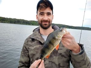 European Perch