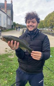 Smallmouth Bass