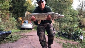 Northern Pike