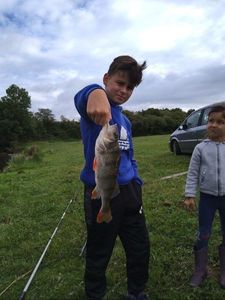European Perch