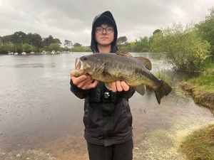Largemouth Bass