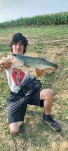 Largemouth Bass