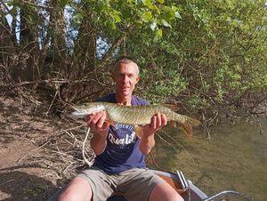 Northern Pike