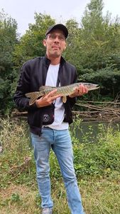 Northern Pike