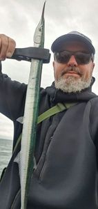 Garfish