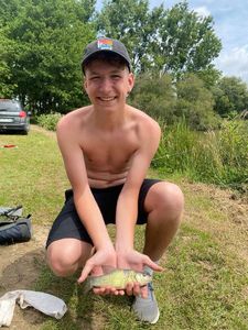 Tench