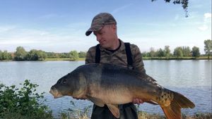 Mirror Carp