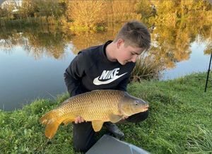 Common Carp
