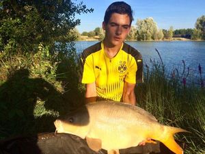 Mirror Carp