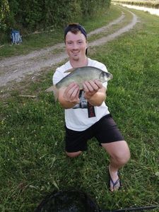 White bream