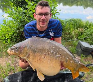 Mirror Carp