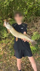 Northern Pike