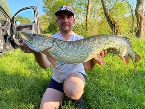 Northern Pike
