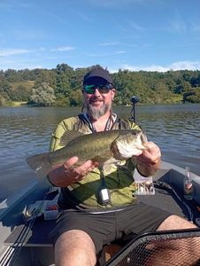 Largemouth Bass