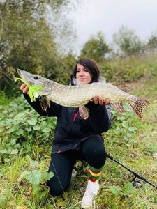 Northern Pike