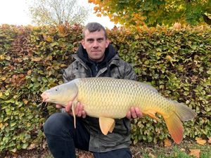 Common Carp