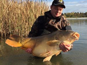 Mirror Carp