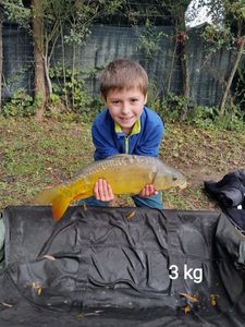 Mirror Carp