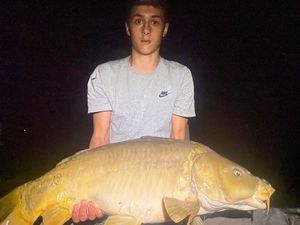Mirror Carp