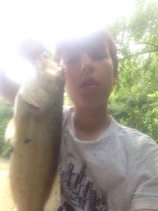 Smallmouth Bass