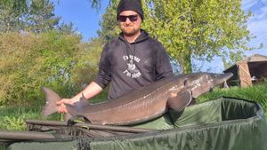 Siberian Sturgeon