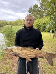 Grass Carp