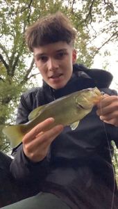 Smallmouth Bass