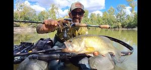 Largemouth Bass