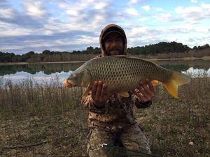 Common Carp, gefangen von Cité Carpe 11 (Youtube & Facebook)