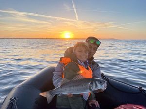 European Bass (Seabass)
