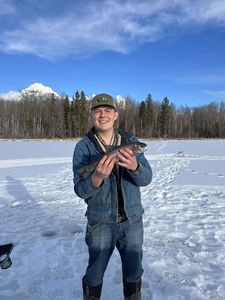 Rainbow Trout