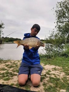 Common Carp