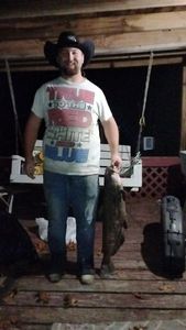 Blue Catfish